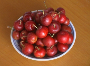 Prunus humilis seeds Gaiguo seed